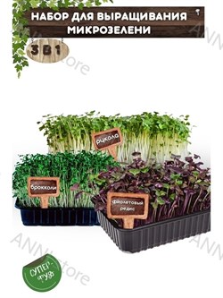 Набор для выращивания микрозелени 3 в 1. Фиолетовый редис, Брокколи, Рукола АСТ / Семена микрозелени / Микрозелень для проращивания / Семена Фиолетовый редис, Брокколи, Рукола - фото 22774