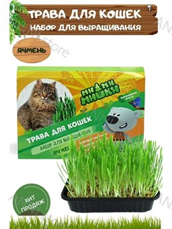 Набор для выращивания "Трава для кошек Ячмень". Ми-Ми-Мишки 30 г - фото 22777