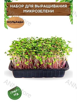 Набор для выращивания микрозелени "Кольраби" 3,5 г АСТ / Семена микрозелени / Микрозелень для проращивания / Семена Кольраби - фото 22816