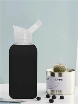Бутылка для воды из боросиликатного стекла Jordan Judy Water Glass Bottle P001 черный 4678598750315 - фото 36857