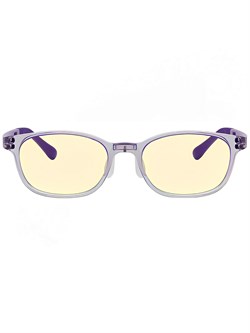 Очки детские компьютерные Turok Steinhard Anti-Blue Goggles FTR039-0821 Фиолетовый 6972355060579 - фото 37938