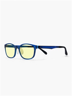 Очки детские компьютерные Turok Steinhard Anti-Blue Goggles FTR039-0521 Синий 6972355060586 - фото 37970