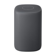 Умная колонка Xiaomi AI Speaker HD (XMYX01JY) темно-серый