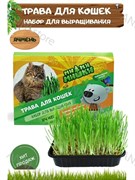 Набор для выращивания "Трава для кошек Ячмень". Ми-Ми-Мишки 30 г