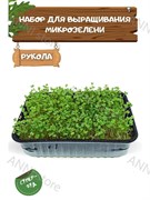 Набор для выращивания микрозелени "Рукола" 3,5 г АСТ / Семена микрозелени / Микрозелень для проращивания / Семена Рукола