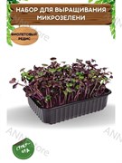 Набор для выращивания микрозелени "Фиолетовый редис" 5,5 г АСТ / Семена микрозелени / Микрозелень для проращивания / Семена Фиолетовый редис