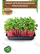 Набор для выращивания микрозелени "Коралловый редис" 5,5 г АСТ / Семена микрозелени / Микрозелень для проращивания / Семена Коралловый редис