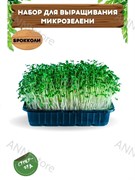 Набор для выращивания микрозелени "Брокколи" 4,5 г АСТ / Семена микрозелени / Микрозелень для проращивания / Семена Брокколи