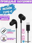 Проводные наушники с микрофоном Xiaomi Type-C Earphones M2413E1 BHR8925CN черный 6941812793107