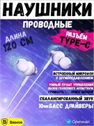 Проводные наушники Baseus Encok СZ11 Type-C Wired Earphones A00164300213-Z1 белый 6932172645687
