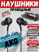 Проводные наушники с микрофоном Samsung AKG Type-C Earphones EO-IC100BBEGWW Версия Gl 8806090270079