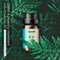 Эфирное масло Baseus Beauty Sweet Essential Oil (ACXUN-MB01) 6953156282230 - фото 11918 Эфирное масло Baseus Beauty Sweet Essential Oil (ACXUN-MB01) 6953156282230 - фото 11918