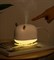 Увлажнитель воздуха Xiaomi Sothing Deer Humidifier&Light (DSHJ-H-009) белый 6933172188419