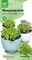 Микрозелень Кольраби 5 г АСТ / Семена микрозелень Кольраби / Микрозелень для проращивания / Семена Кольраби 5 г - фото 22643