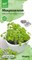 Микрозелень Мицуна 3 г АСТ / Семена микрозелень Мицуна / Микрозелень для проращивания / Семена Мицуна 3 г - фото 22649