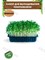 Набор для выращивания микрозелени "Брокколи" 4,5 г АСТ / Семена микрозелени / Микрозелень для проращивания / Семена Брокколи - фото 22815