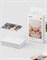 Фотобумага для принтера Xiaomi Mijia AR ZINK Portable Photo Printer Paper XMZPXZHT03 (100 штук в упаковке) 6934179711006