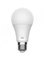 Лампа светодиодная Xiaomi Mi Smart LED Bulb Warm White E27 810lm XMBGDP01YLK Global 6934177716546 - фото 31471