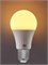 Лампа светодиодная Xiaomi Mi Smart LED Bulb Warm White E27 810lm XMBGDP01YLK Global 6934177716546