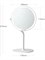 Зеркало для макияжа Amiro Daylight Mirror Mini 2s AML117 белый 6970252732445 - фото 35700