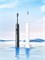 Электрическая зубная щетка Mijia Electric Toothbrush T501 MES607-2 BHR6382CN белый 6934177794384