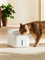Питьевой фонтан автопоилка для кошек и собак Xiaomi Mijia Smart Pet Water Dispenser 2 (MJCWYSJ03) BHR07VMCN белый 6932554429799 - фото 37119