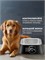 Умная миска для домашних питомцев Pawbby Smart Pet Bowl MG-ZN001-EU Черный 6971747870864