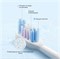 Сменные насадки для зубной щетки Xiaomi Smart Electric Toothbrush T501 Replacement Heads White Pro 2 шт. BHR7789GL белый 6941812751947