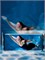 Чехол для телефона водонепроницаемый Baseus Let's go Slip Cover Waterproof Bag ACFSD-DG1 черный 6953156220799