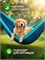 Подвесной гамак с чехлом Xiaomi ZaoFeng Outdoor Hammock Bay HW070102 3007952 Голубой 6971101840007
