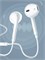 Наушники проводные Apple EarPods A3046 Type-c MYQY3ZM/A белый 195949776274