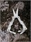 Мультитул EDC ножницы NexTool Micro Sailor Scissors S0 NE20417A серебристый 6973907633043