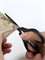 Канцелярские ножницы универсальные HuoHou Titanium Plated Stationery Scissors Set HU0030 набор 2 шт. черный 6970960060304