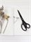 Канцелярские ножницы универсальные HuoHou Titanium Plated Stationery Scissors Set HU0030 набор 2 шт. черный 6970960060304
