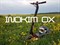 Электросамокат Inokim OX Super IPX4 6971476300397